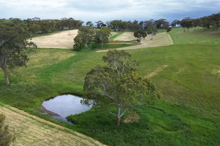 Fifth view of Homely land listing, LOT 1212, 1212 Pound Road, Macclesfield SA 5153