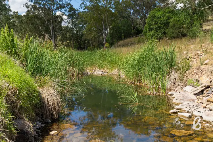 Fourth view of Homely rural property listing, 1021 Muscle Creek Road, Muscle Creek NSW 2333