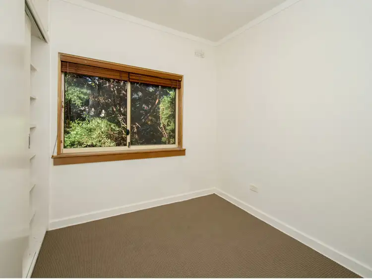 Fourth view of Homely apartment listing, 5A Frances Street, Randwick NSW 2031