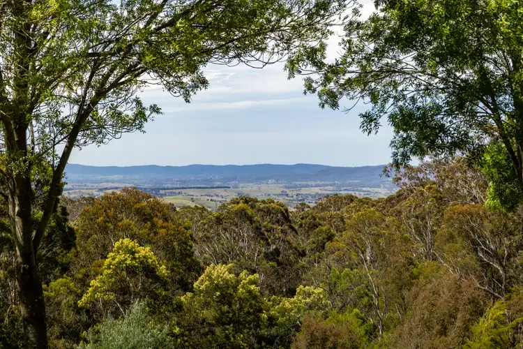 Second view of Homely house listing, 147 Radium Ridge Road, Myrtle Mountain NSW 2550