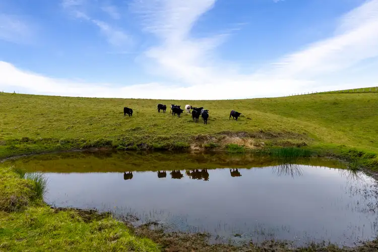 Seventh view of Homely land listing, LOT 2, 456 Upper Brogo Road, Verona NSW 2550