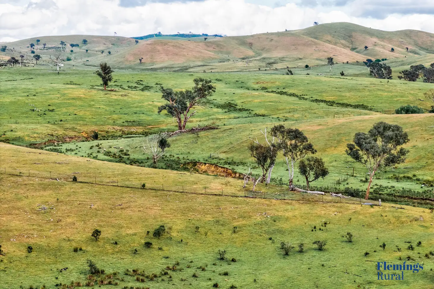 Main view of Homely rural property listing, 1479 Grassy Creek Road, Rugby NSW 2583