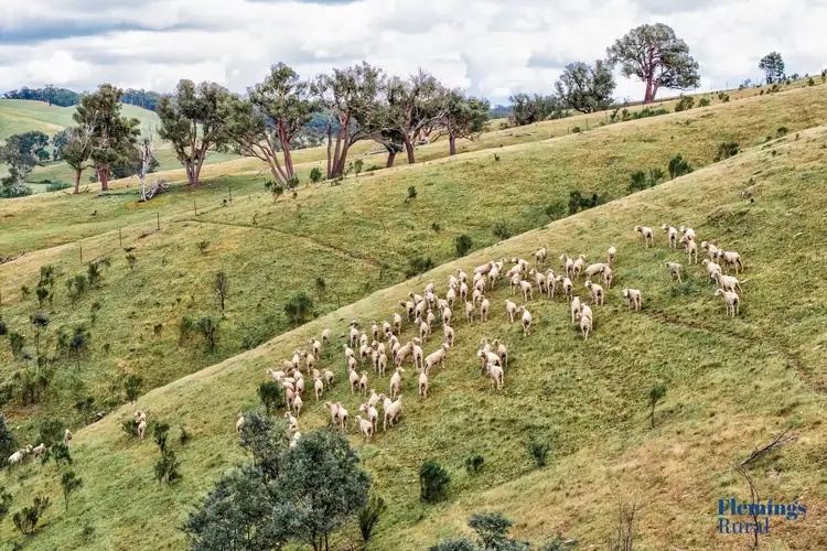 Second view of Homely rural property listing, 1479 Grassy Creek Road, Rugby NSW 2583