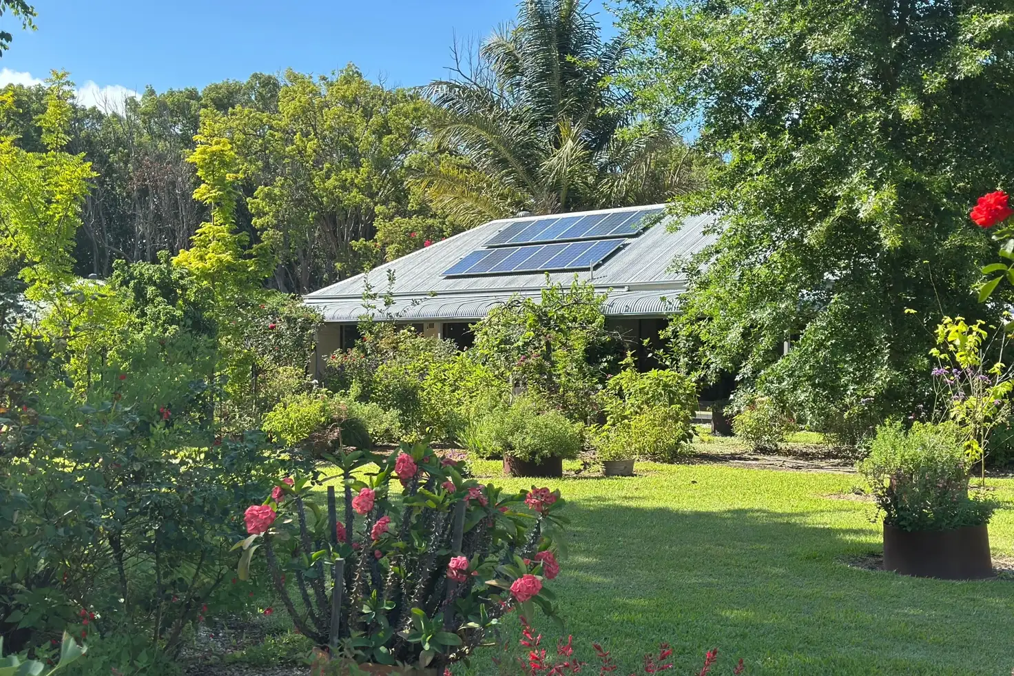 Main view of Homely house listing, 259 Left Bank Road, Mullumbimby Creek NSW 2482