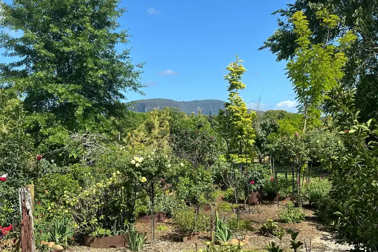 Second view of Homely house listing, 259 Left Bank Road, Mullumbimby Creek NSW 2482