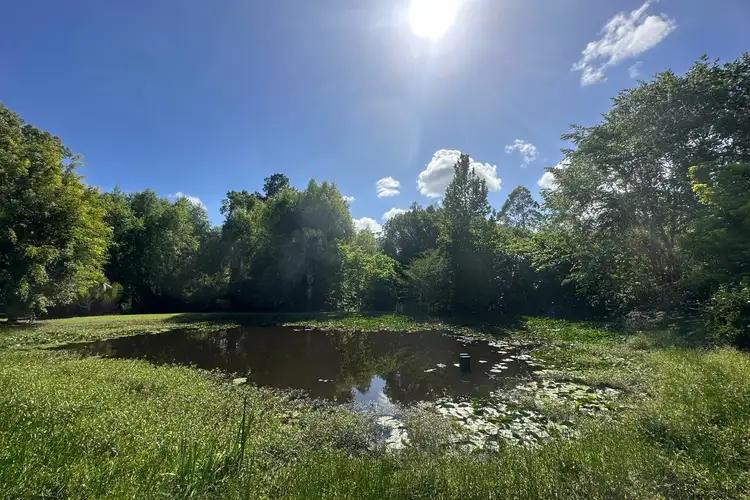 Third view of Homely house listing, 259 Left Bank Road, Mullumbimby Creek NSW 2482
