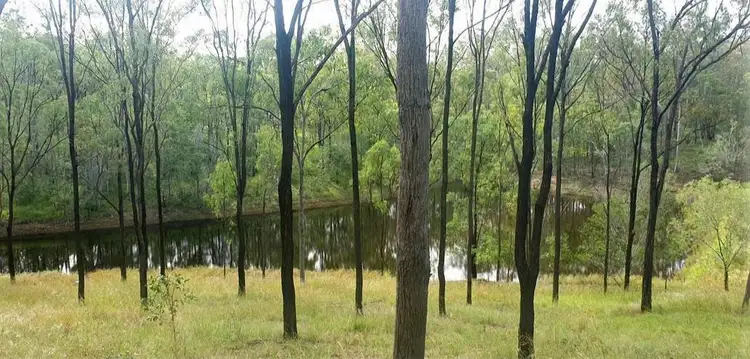 211 HH Innes Road, Horse Camp QLD 4671