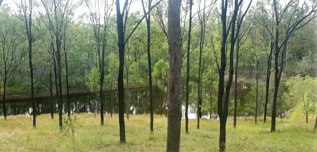 Main view of Homely rural property listing, 211 HH Innes Road, Horse Camp QLD 4671