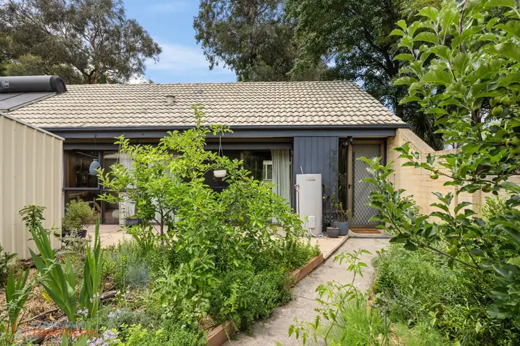 3M Tristania Street, Rivett ACT 2611