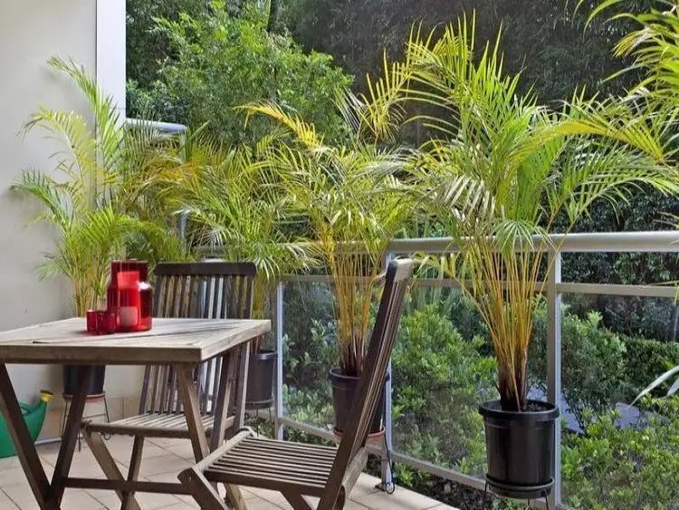 Fourth view of Homely unit listing, 9/8-10 Shackel Avenue, Brookvale NSW 2100