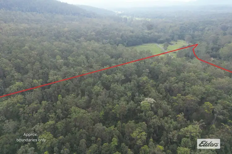 Third view of Homely rural property listing, 488 Upper Fine Flower Road, Upper Fine Flower NSW 2460