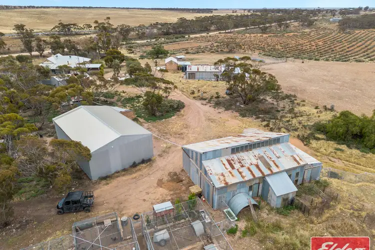 Fifth view of Homely house listing, 106 Railway Terrace, Sutherlands SA 5374