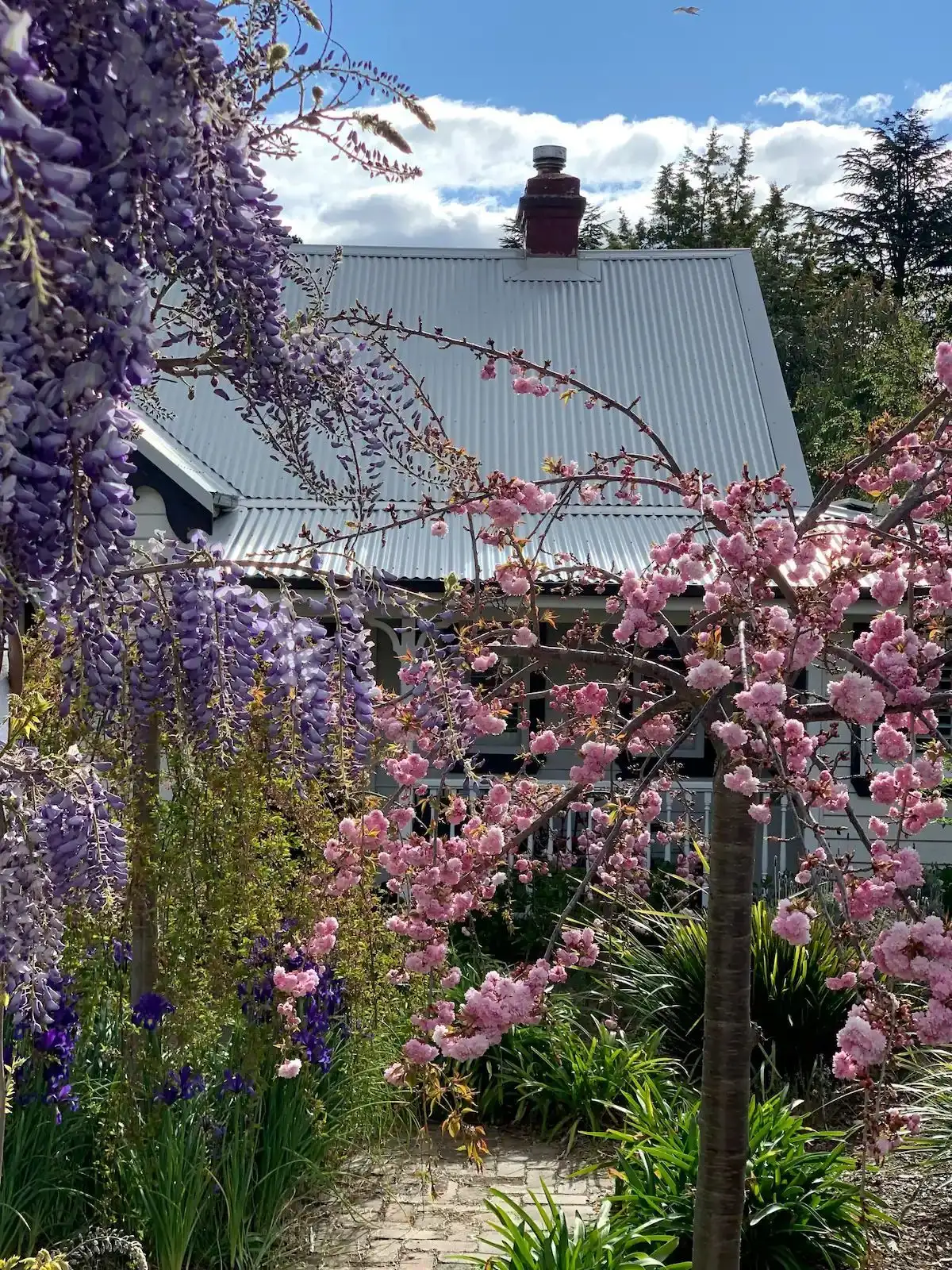 Main view of Homely house listing, 155 Lurline Street, Katoomba NSW 2780