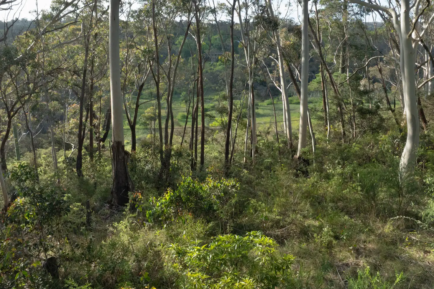 Main view of Homely land listing, 6 Alma Lane, Katoomba NSW 2780