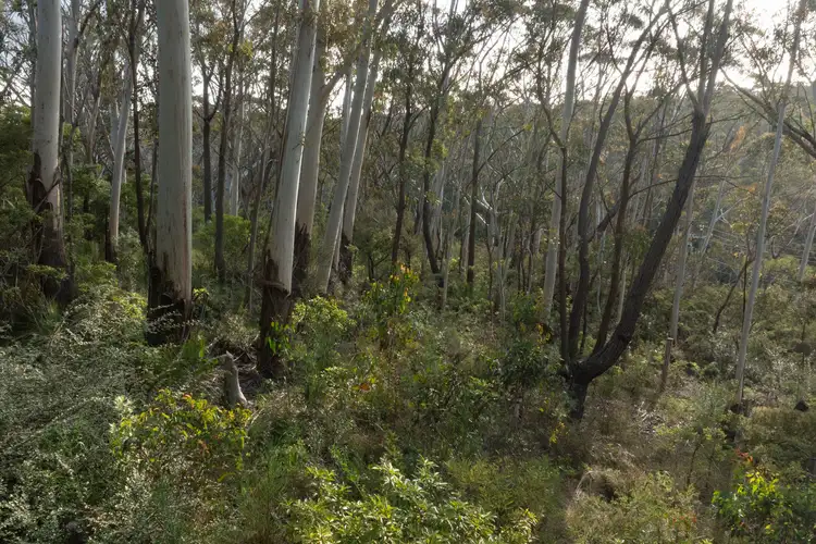 Second view of Homely land listing, 6 Alma Lane, Katoomba NSW 2780