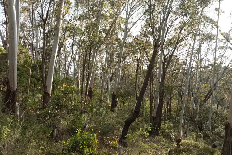 Fifth view of Homely land listing, 6 Alma Lane, Katoomba NSW 2780