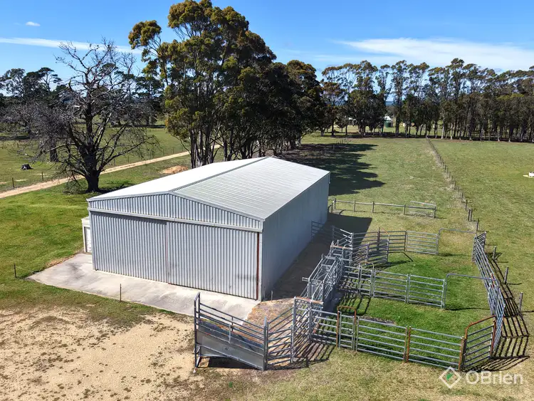 Second view of Homely rural property listing, 5 Crawfords Road, Forge Creek VIC 3875