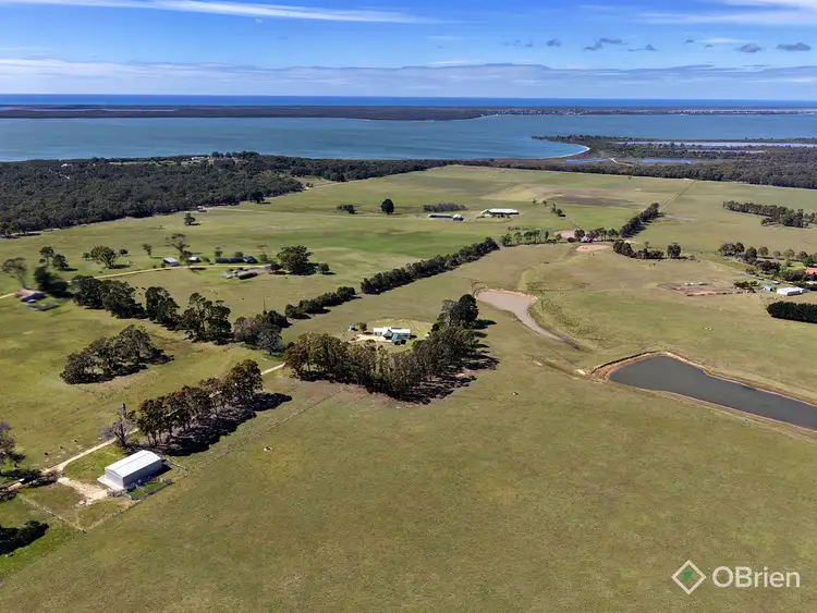 Fifth view of Homely rural property listing, 5 Crawfords Road, Forge Creek VIC 3875