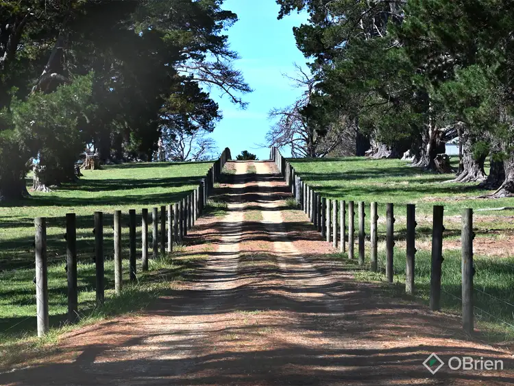 Sixth view of Homely rural property listing, 5 Crawfords Road, Forge Creek VIC 3875