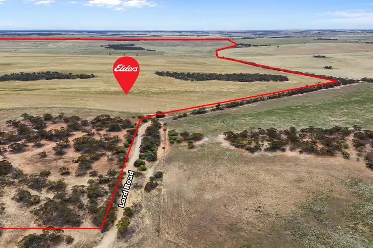 Third view of Homely rural property listing, Lot 12 Lord Road, Perponda SA 5308