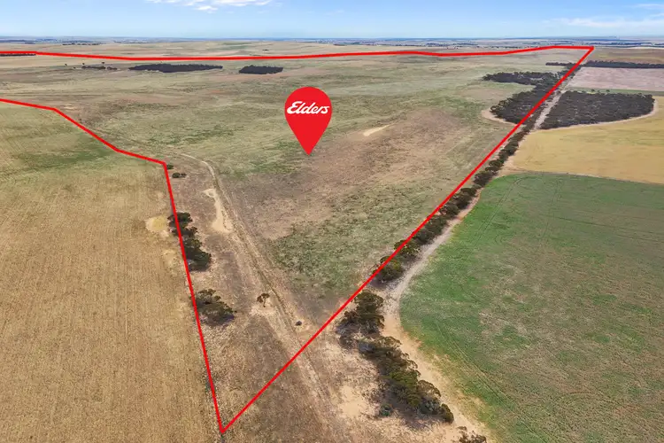 Fourth view of Homely rural property listing, Lot 12 Lord Road, Perponda SA 5308