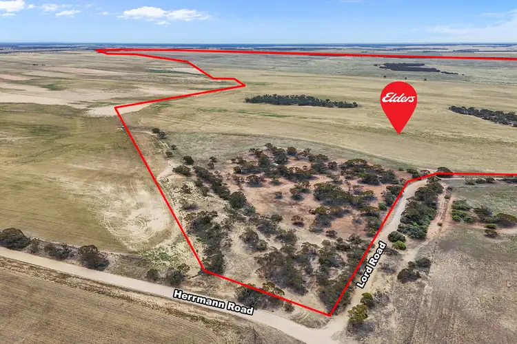 Sixth view of Homely rural property listing, Lot 12 Lord Road, Perponda SA 5308