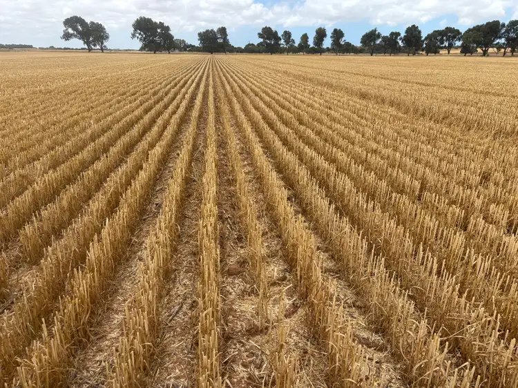 Third view of Homely rural property listing, Lot 8 Edward Road, Narngulu WA 6532