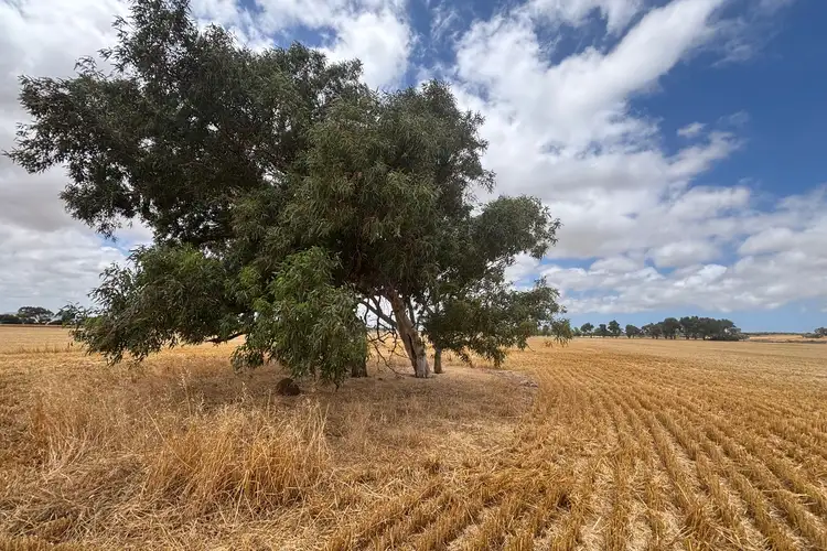 Fourth view of Homely rural property listing, Lot 8 Edward Road, Narngulu WA 6532