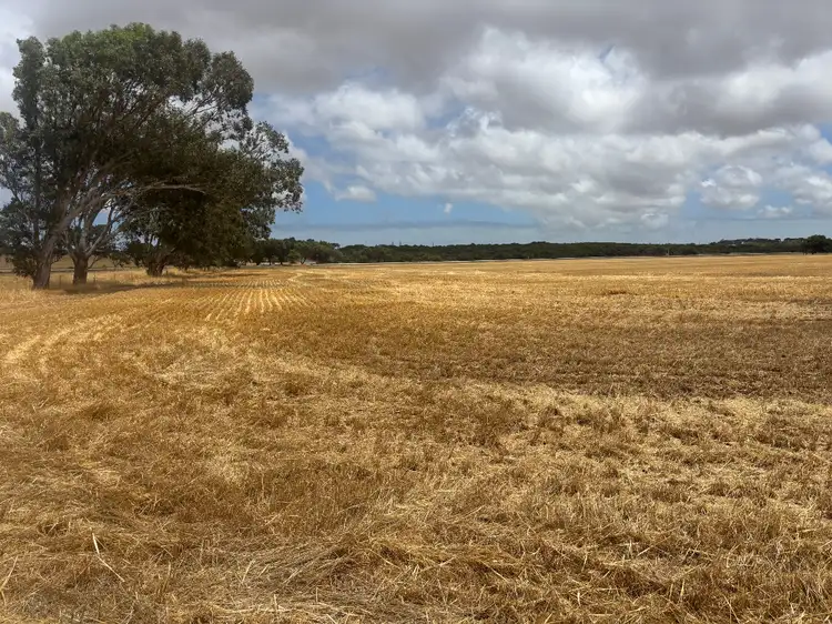 Sixth view of Homely rural property listing, Lot 8 Edward Road, Narngulu WA 6532