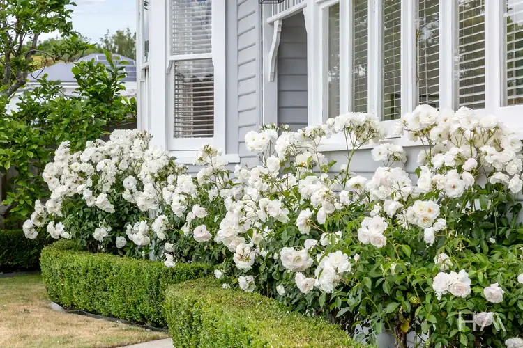 Second view of Homely house listing, 14 Everest Place, Newstead TAS 7250