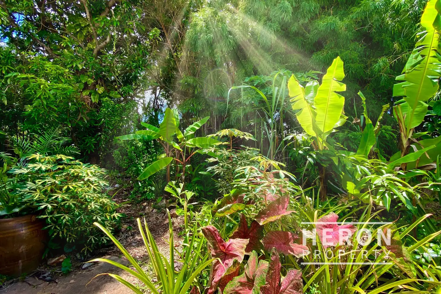 Main view of Homely house listing, 14 Glencoe Crescent, Tiwi NT 810