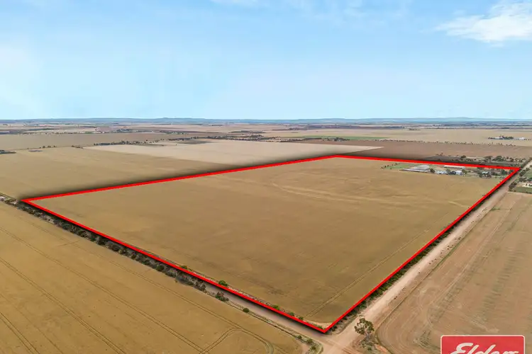 Second view of Homely rural property listing, 546 Davies Road, Mallala SA 5502