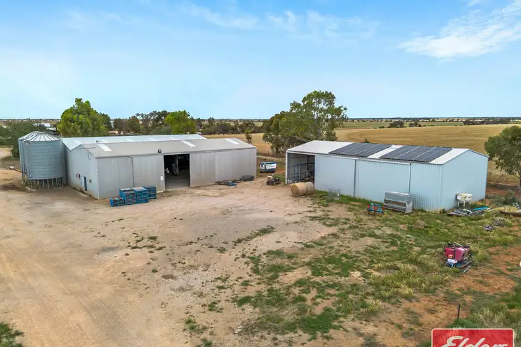 Sixth view of Homely rural property listing, 546 Davies Road, Mallala SA 5502