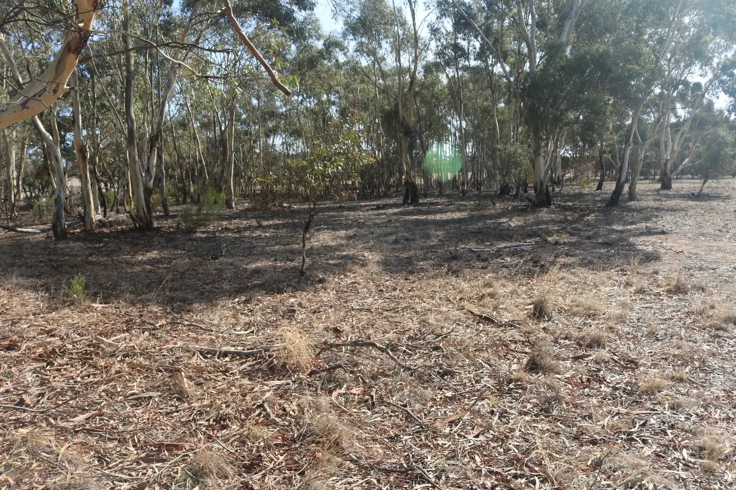 Main view of Homely rural property listing, Old Boort Road, Wedderburn VIC 3518