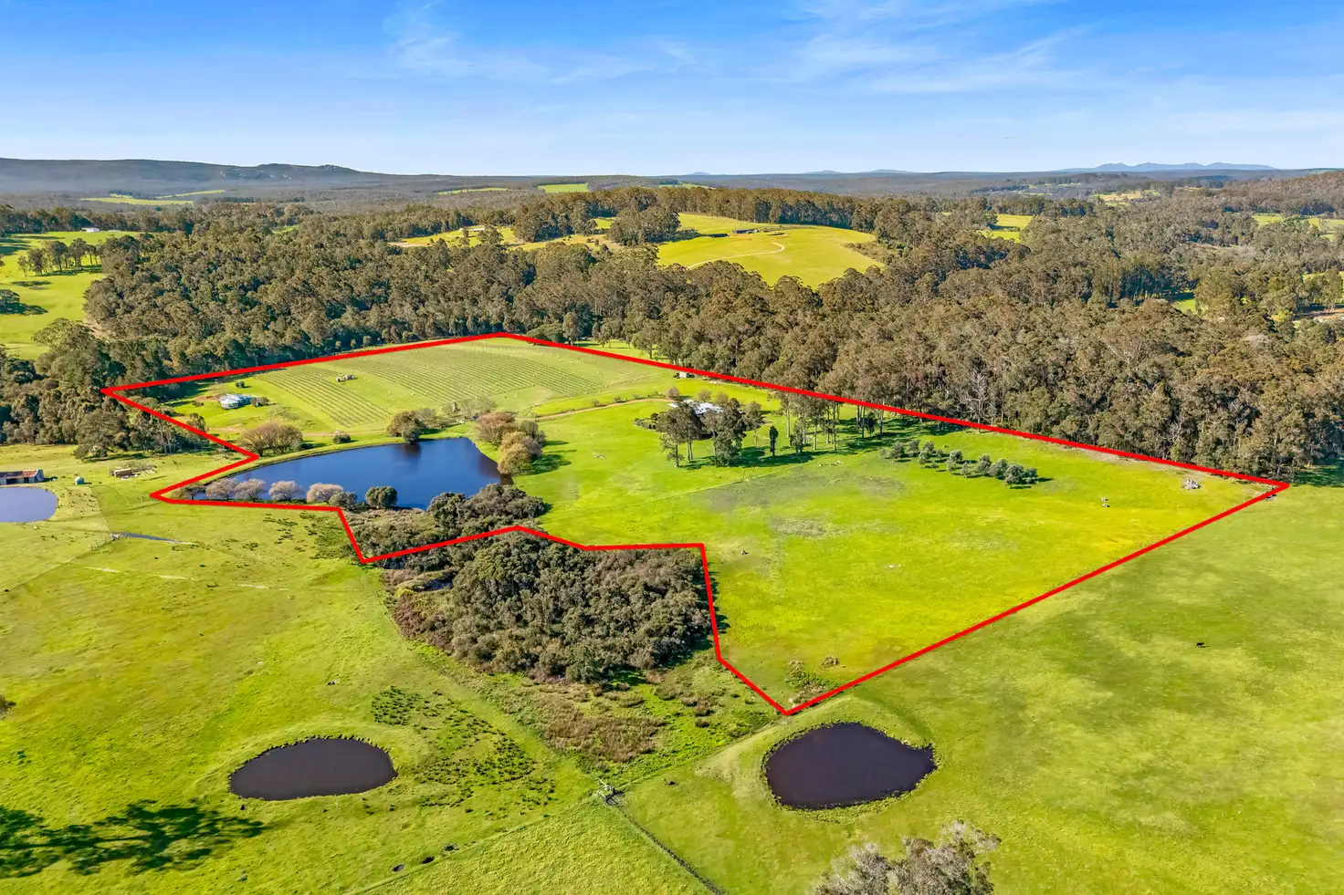 Main view of Homely rural property listing, 807 Scotsdale Road, Denmark WA 6333
