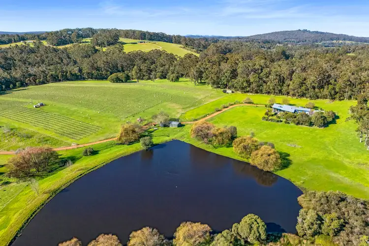 Fourth view of Homely rural property listing, 807 Scotsdale Road, Denmark WA 6333