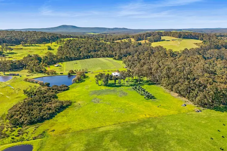 Fifth view of Homely rural property listing, 807 Scotsdale Road, Denmark WA 6333
