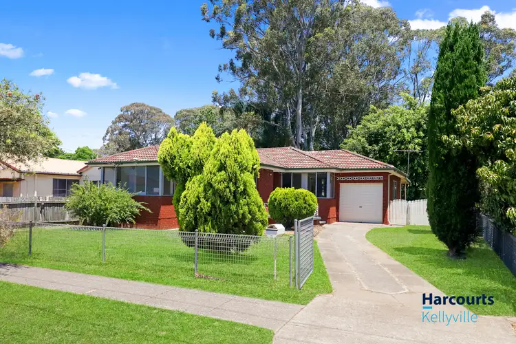 3 Barangaroo Rd Road, Toongabbie NSW 2146