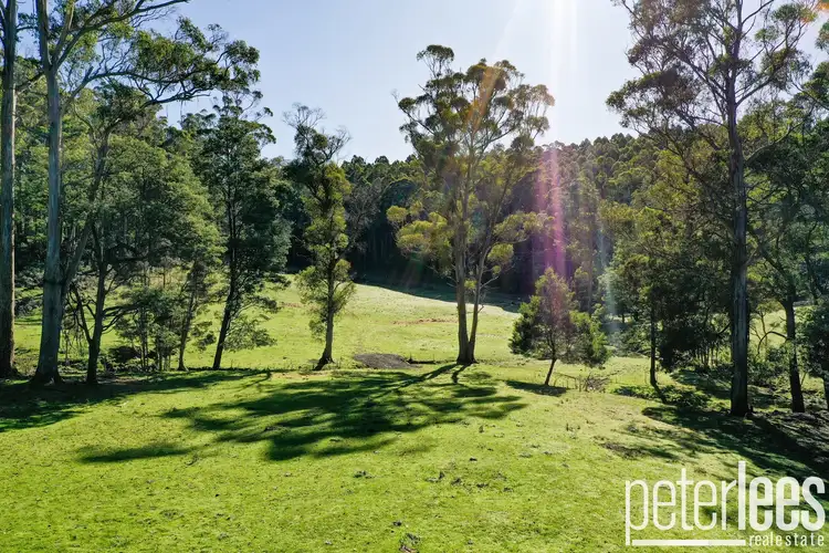 Third view of Homely land listing, 44 Beasleys Road, Frankford TAS 7275