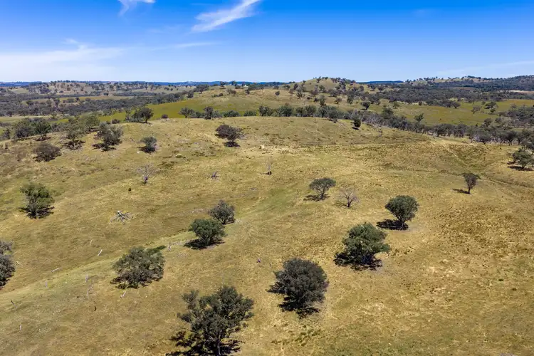 Seventh view of Homely rural property listing, Lots 46 & 70, 499 Mebul Road, Gulgong NSW 2852