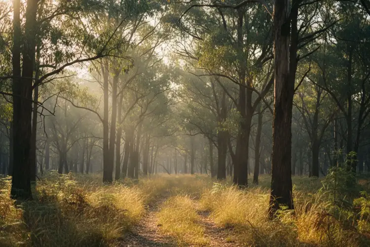 Third view of Homely rural property listing, LOT 33 Rocky Hall Firetrail, Rocky Hall NSW 2550