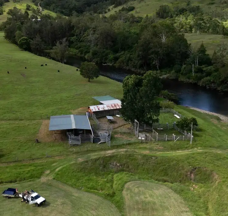 Fourth view of Homely rural property listing, 689 Manchester Road, Bindera NSW 2422