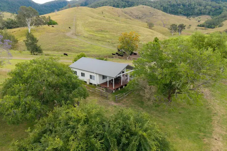 Fifth view of Homely rural property listing, 689 Manchester Road, Via Gloucester, Bindera NSW 2422