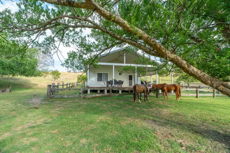 Sixth view of Homely rural property listing, 689 Manchester Road, Via Gloucester, Bindera NSW 2422
