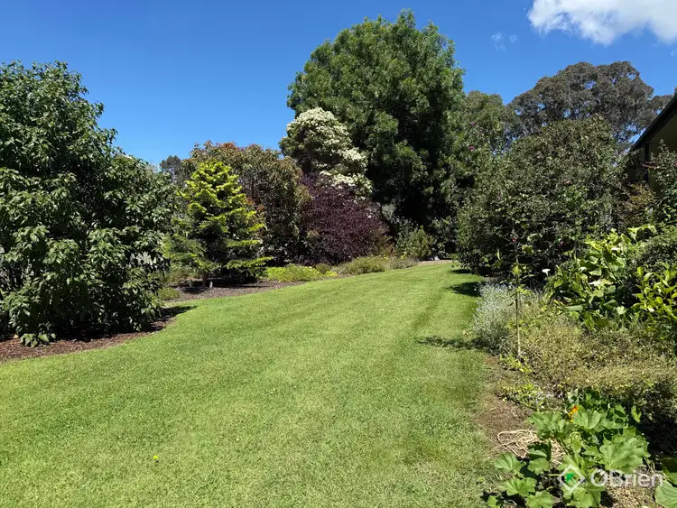 Third view of Homely house listing, 21 Punt Road, Johnsonville VIC 3902