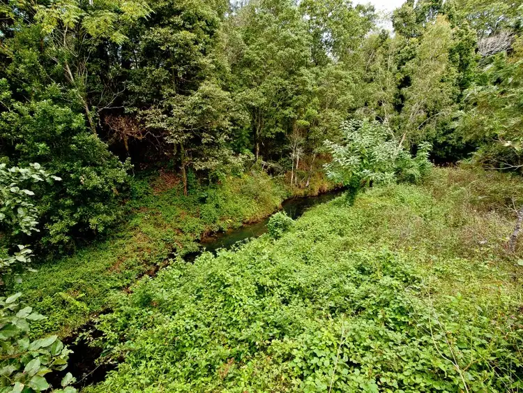 Fourth view of Homely land listing, 48 Kundes Road, Mount Samson QLD 4520