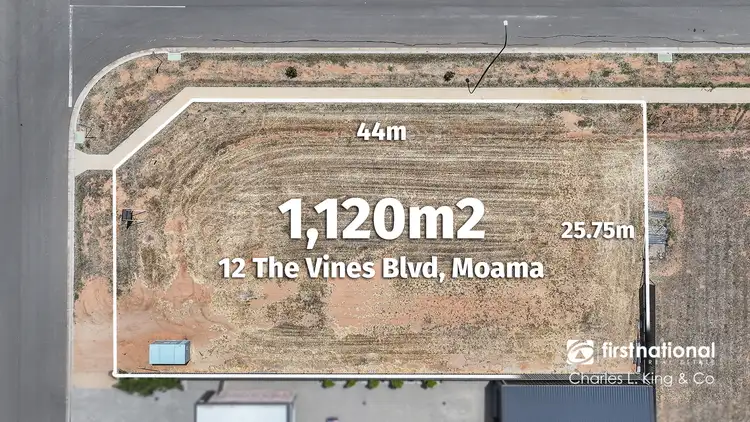 12 The Vines Boulevard, Moama NSW 2731