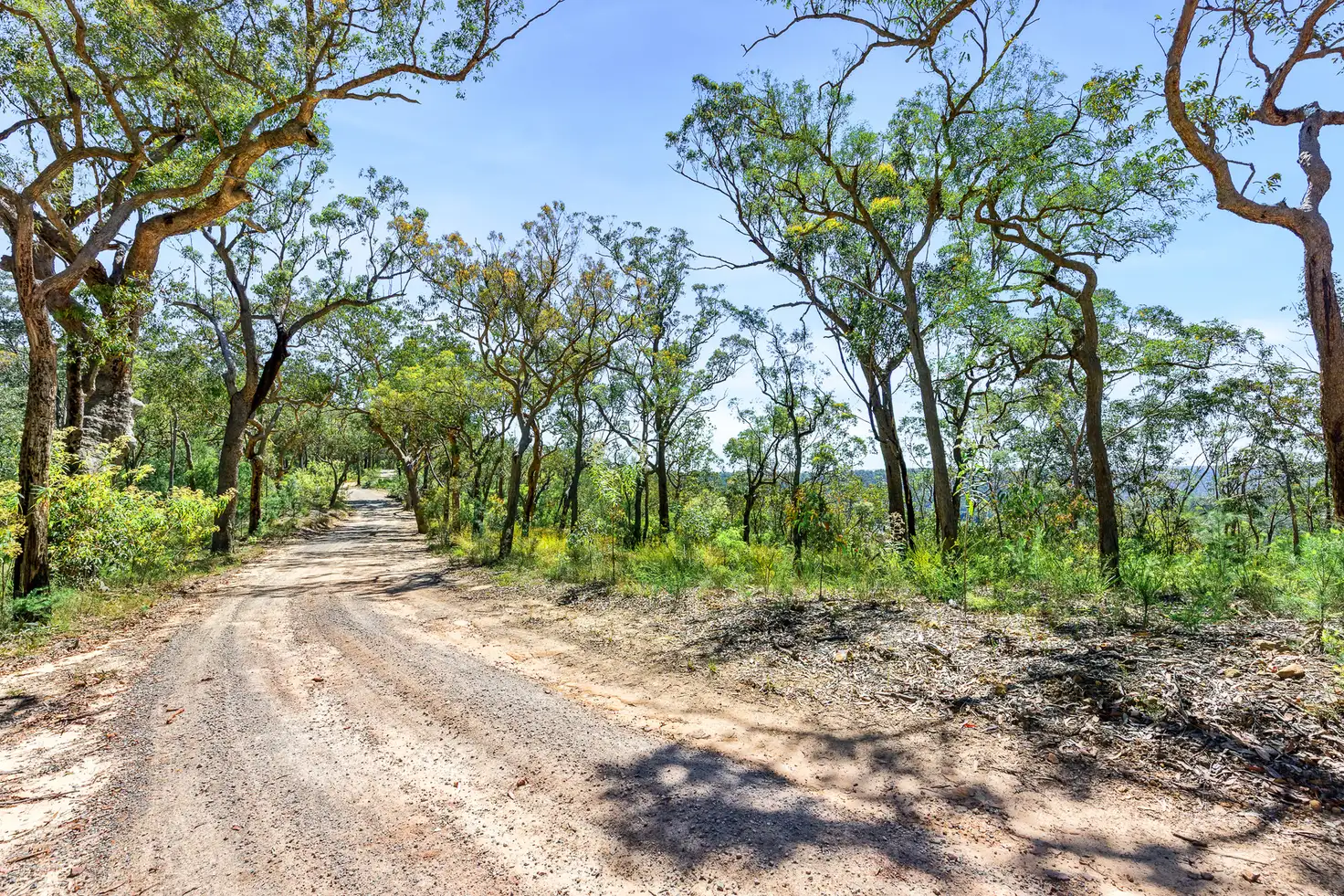 Main view of Homely land listing, 679 Cliftonville Road, Lower Portland NSW 2756