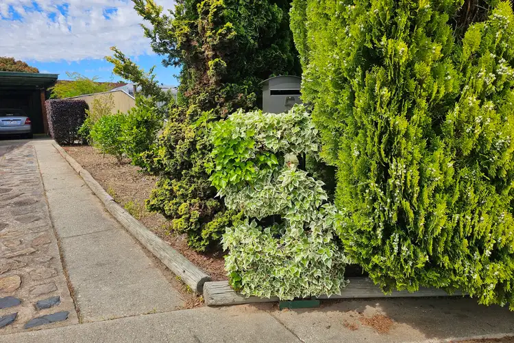 Second view of Homely house listing, 5 Bartel Court, Wodonga VIC 3690