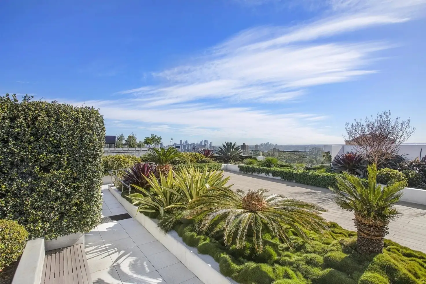 Main view of Homely apartment listing, 1001/109 Oxford Street, Bondi Junction NSW 2022